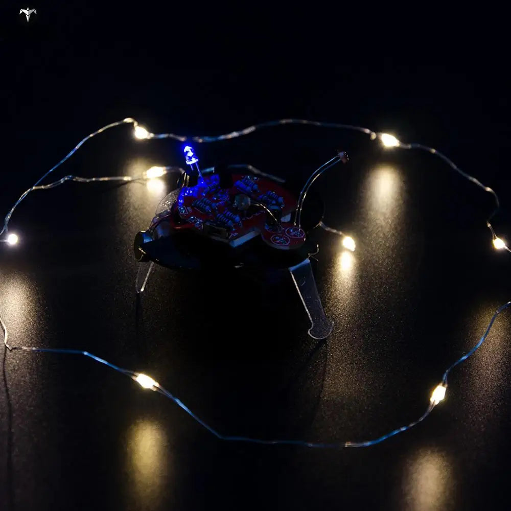 Custom Lonten DIY Fireworm Glowworm STEAM Photographic Robot Educational Kit Photo Resistor Programmable Toys Manufacturer