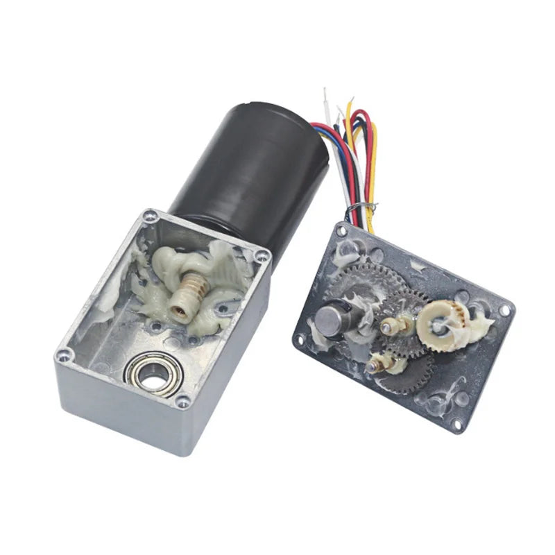 Custom 12V DC Motor Brushless Electric Worm Geared Motor High Torque Turbine Reduction Motor With Self Locking 5840-3650 Reversible Manufacturer
