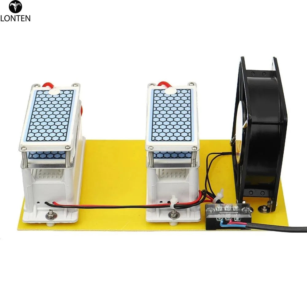 Custom Lonten AC 110V/220V 20g/h Ozone Generator Double Integrated Long Life For Home Air Water Purifier Module Manufacturer
