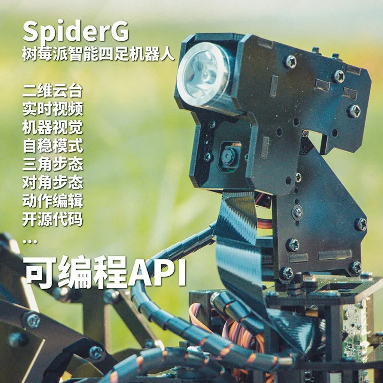 Custom Stem Quadruped Spider Raspberry Pi Robot Python Programming Mobile App Control Large Probe Robot Manufacturer