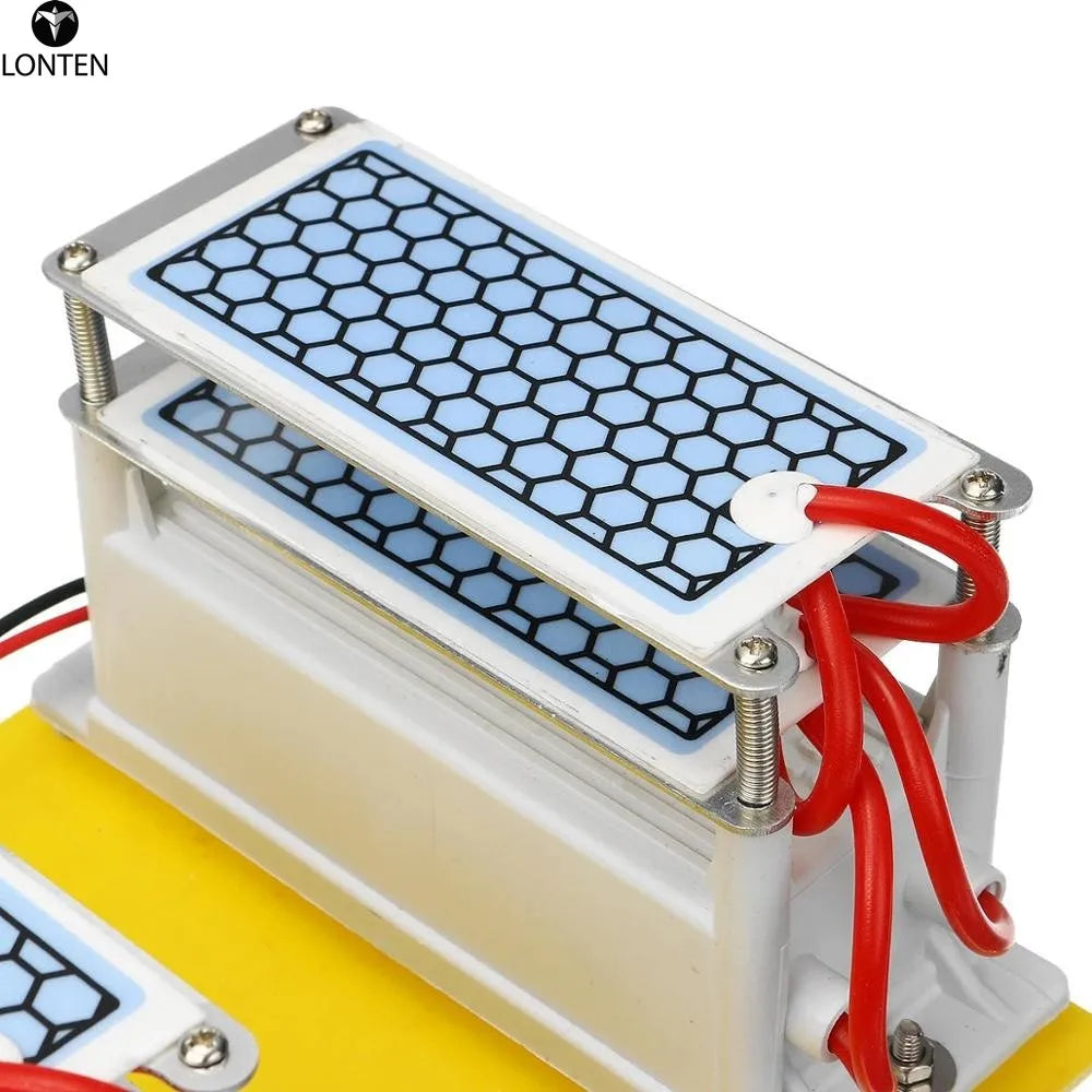 Custom Lonten AC 110V/220V 20g/h Ozone Generator Double Integrated Long Life For Home Air Water Purifier Module Manufacturer