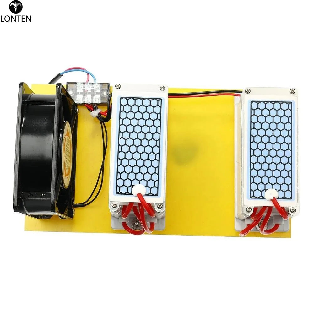 Custom Lonten AC 110V/220V 20g/h Ozone Generator Double Integrated Long Life For Home Air Water Purifier Module Manufacturer