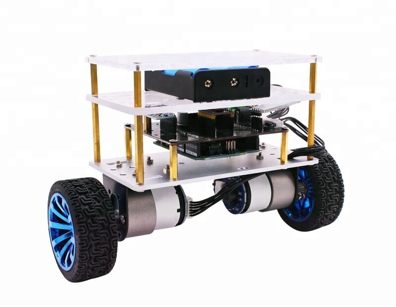 Custom RC Two Wheel DIY Arduinos R3 Balance Educational Robot Kit With ...