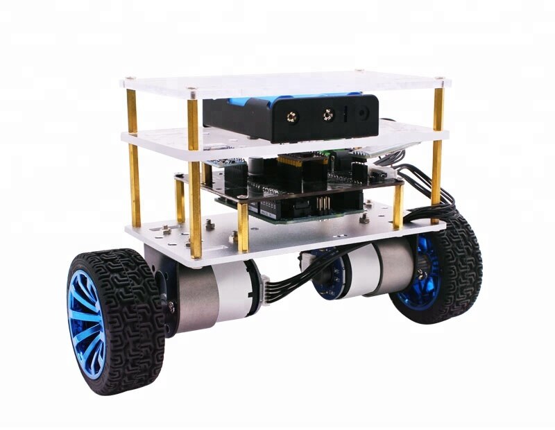 Custom RC Two Wheel DIY Arduinos R3 Balance Educational Robot Kit With Beautiful Acrylic Platform