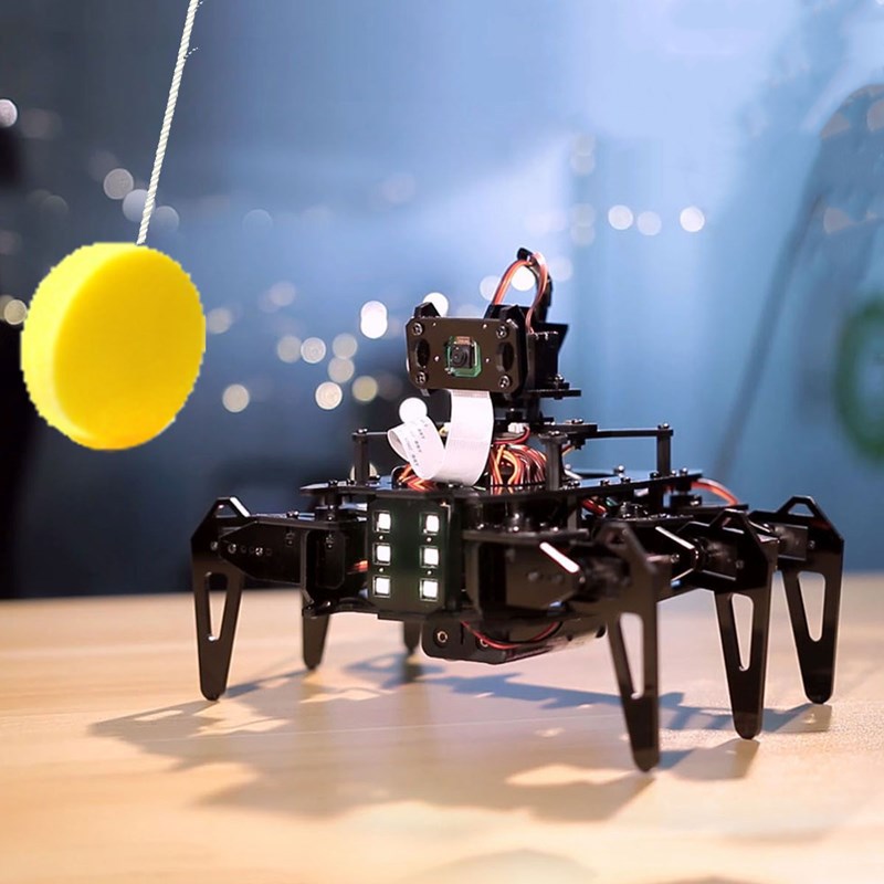 Custom Educational robot STEAM Raspberry Pi 4 generations 4B/3B hexapod spider WiFi camera AI.