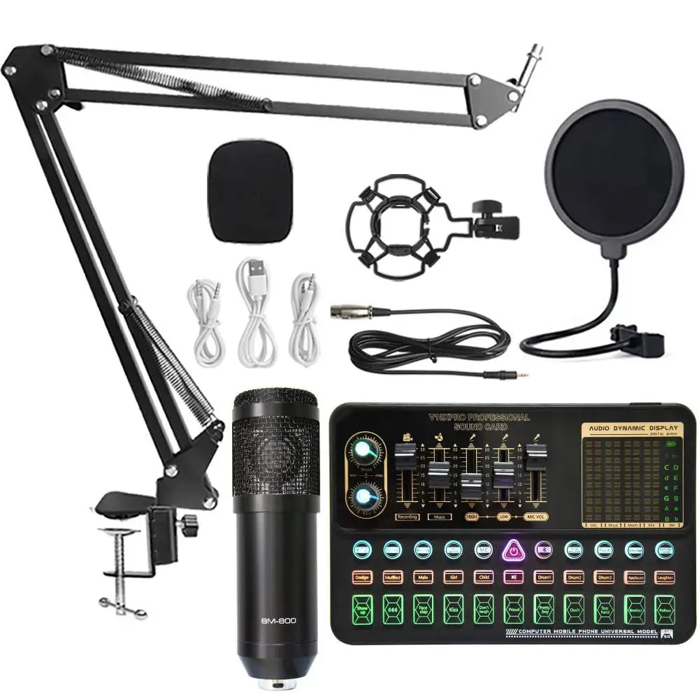 Custom LT V10XPro Sound Card Studio Mixer Singing Noise Reduction Microphone Voice BM800 Live Broadcast Phone Computer Record V10X Pro Manufacturer