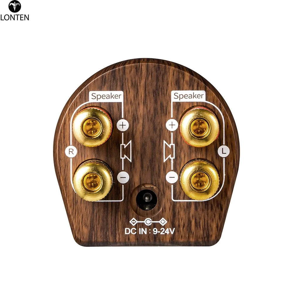 Custom Lonten TPA3116 Class D wireless 5.0 HIFI 2x50W Passive Stereo Amplifier Support 3.5mm AUX BT Type-C Play mini Speaker amp Manufacturer