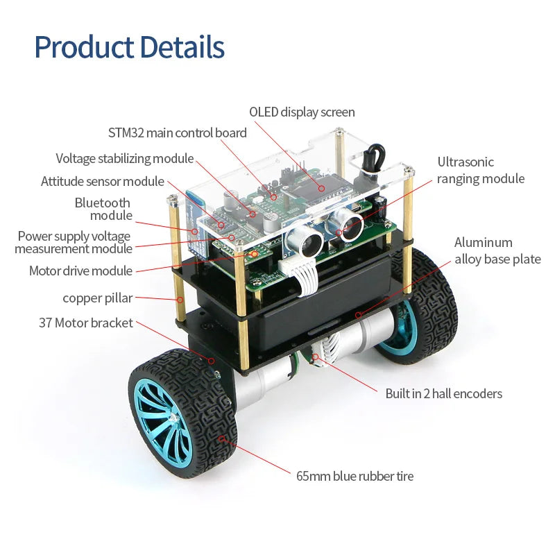 Custom STM32 Two Wheel Balancing Trolley B570 Two Wheel Self Balancing Robot Kit PID Parameter Adjustment LQR LONTEN Manufacturer