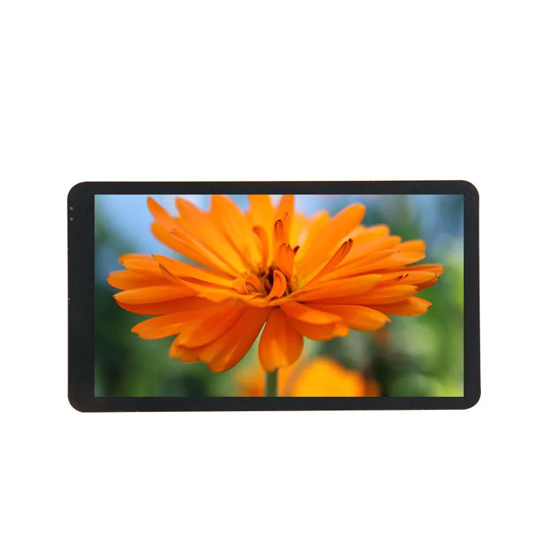 Custom original oem Studio screen transmissive 4k resolution amoled 5.5 inch lcd panel full hd Manufacturer