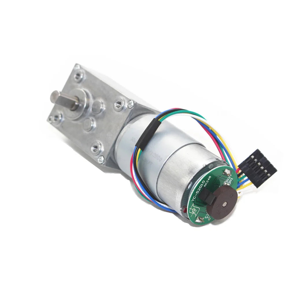 Custom 5840-555B Worm Gear Motor DC Motor Encoder 12V-24V High Torque 2.5-60KG Self-Lock Reversible For Automation Project Manufacturer