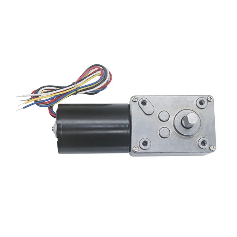 Custom 12V DC Motor Brushless Electric Worm Geared Motor High Torque Turbine Reduction Motor With Self Locking 5840-3650 Reversible Manufacturer
