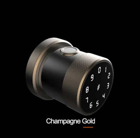 Custom Hot Tuya APP Smart Fingerprint Door lock smart wifi Lock RFID Card password security Home or Hotel lock Digital Keyboard Door lo Manufacturer