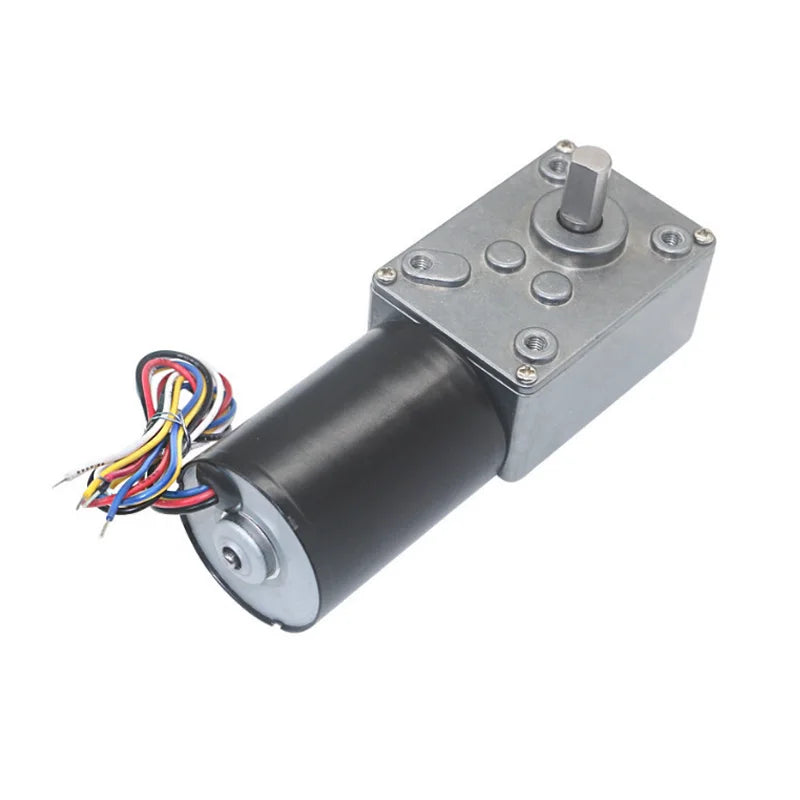 Custom 12V DC Motor Brushless Electric Worm Geared Motor High Torque Turbine Reduction Motor With Self Locking 5840-3650 Reversible Manufacturer