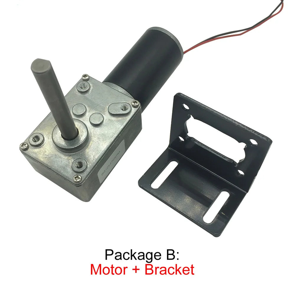Custom DC 24V PMDC Worm Geared Motors High Torque 12V Volt DC Motor Reversed Reduction Self-Lock Extension Shaft Motor 5840-31ZY Manufacturer