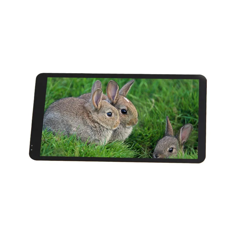 Custom original oem Studio screen transmissive 4k resolution amoled 5.5 inch lcd panel full hd Manufacturer