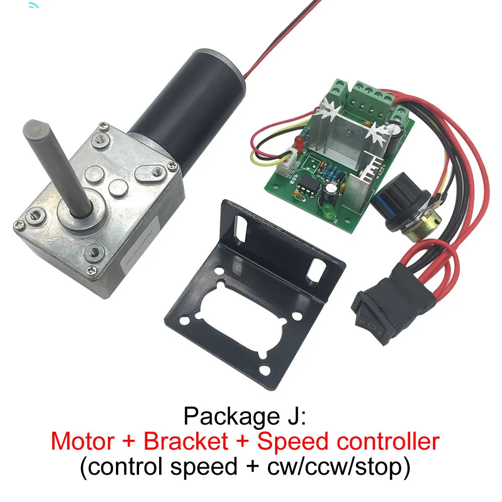Custom DC 24V PMDC Worm Geared Motors High Torque 12V Volt DC Motor Reversed Reduction Self-Lock Extension Shaft Motor 5840-31ZY Manufacturer