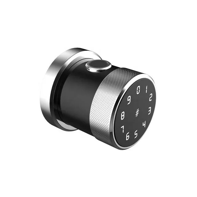 Custom Hot TTlock New smart Door lock APP Fingerprint  lock smart door lock RFID Card password key Manufacturer