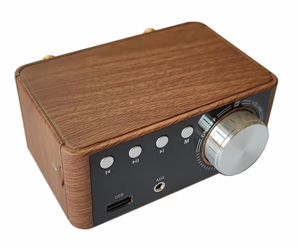 Custom TPA3116 Power Mini Amplifier audio 5.0 Receiver Stereo Home Car Amp USB 100w Music Player stereo audio amplifier Manufacturer