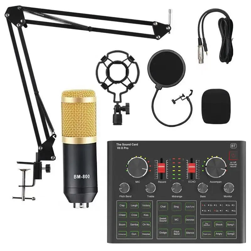 Custom LT V9XPro BM800 Sound Card Studio Music Set Mixer Noise Reduction Portable Microphone Voice Live Broadcast for Phone PC Record Manufacturer