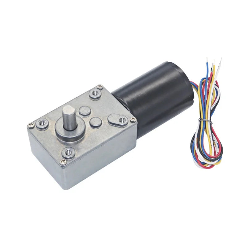 Custom 12V DC Motor Brushless Electric Worm Geared Motor High Torque Turbine Reduction Motor With Self Locking 5840-3650 Reversible Manufacturer