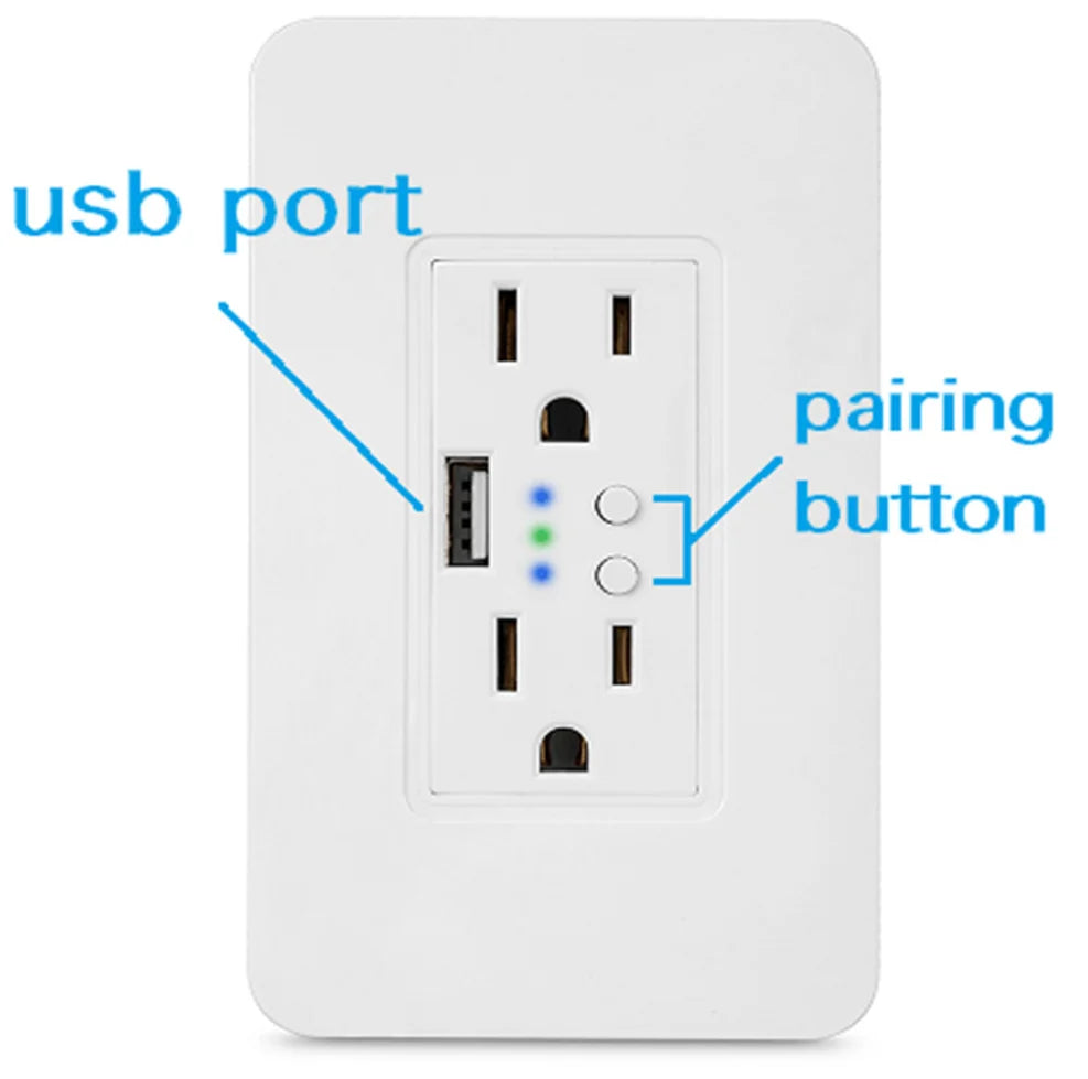 Custom Smart Home interruptor wifi Dual Port with USB 2000mA Wall Charger Adapter 16A US/Plug Socket Power Outlet Panel 90~250V Manufacturer
