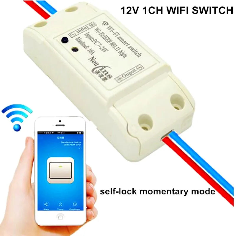 Custom 1CH 12V DC Smart interruptor WiFi Switch Module Controlled by Phone On Android and IOS for Light Garage Door smart home Manufacturer