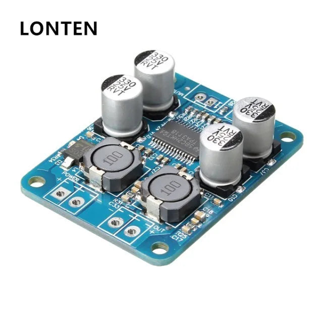 Custom Lonten TPA3118 PBTL 1x60W 8V-24V Mono Digital Amplifier Board Manufacturer