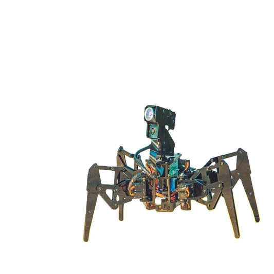 Custom Stem Quadruped Spider Raspberry Pi Robot Python Programming Mobile App Control Large Probe Robot Manufacturer