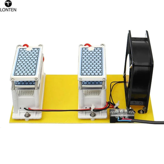 Custom Lonten AC 110V/220V 20g/h Ozone Generator Double Integrated Long Life For Home Air Water Purifier Module Manufacturer