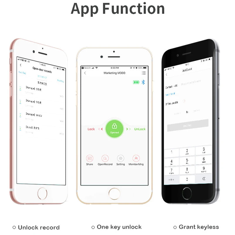 Custom Hot Tuya Zigbee Smart Lock Core Cylinder Intelligent Security Door Lock Encryption With Keys Work With Smart Life App Manufacturer