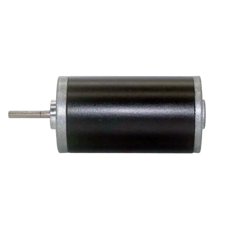 Custom 31ZY permanent magnet DC motor micro large torque motor forward and reverse high speed motor 12v24v Manufacturer