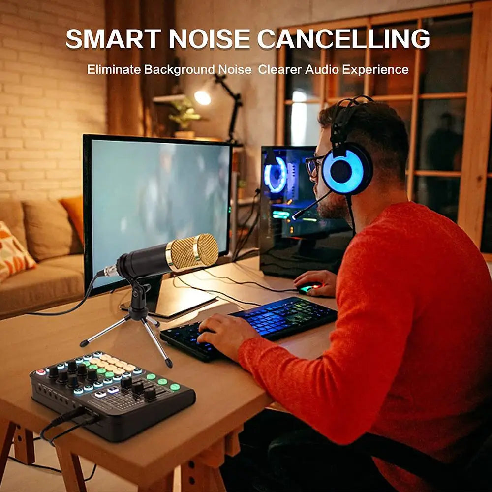 Custom LT Professional Cardioid Pickup Podcast Microphone,Portable Audio Mixer for Live Streaming,Gaming,PC Manufacturer