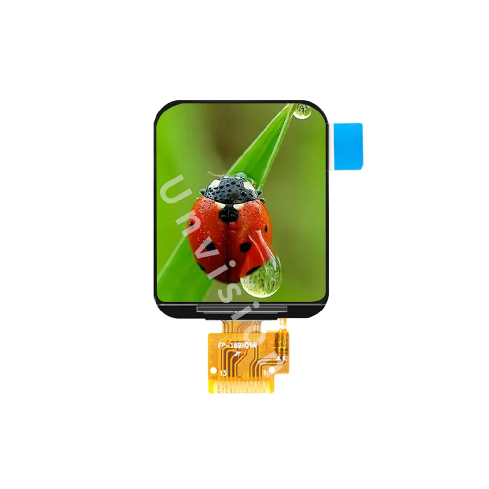 Custom IPS 1.69 inch  TFT LCD Color Display Screen (Board/No Board) ST7789 Controller 8Bit MCU Interface 240(RGB)*280 Manufacturer