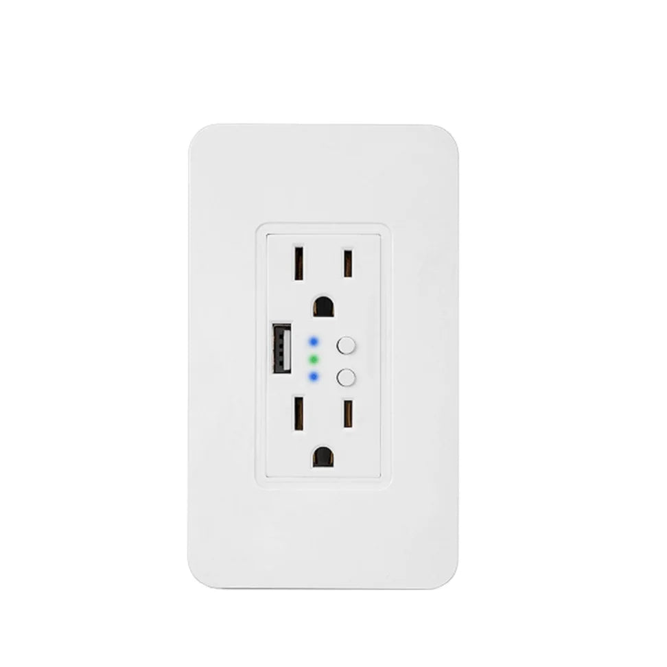 Custom Smart Home interruptor wifi Dual Port with USB 2000mA Wall Charger Adapter 16A US/Plug Socket Power Outlet Panel 90~250V Manufacturer