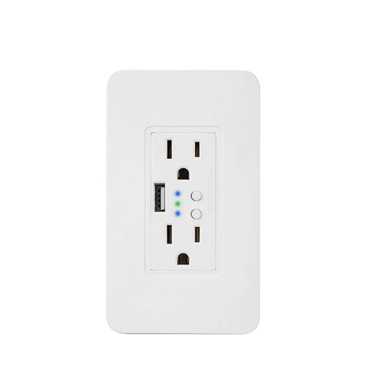 Custom Smart Home interruptor wifi Dual Port with USB 2000mA Wall Charger Adapter 16A US/Plug Socket Power Outlet Panel 90~250V Manufacturer