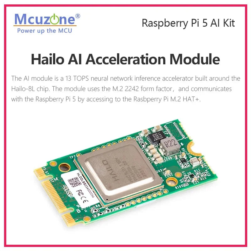 Raspberry Pi 5 AI HAT Kit,PCIe to NVME SSD HAT,support 2242,2230, Artificial intel ligenceHailo-8L AI for RPi5 Custom