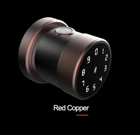 Custom Hot TTlock New smart Door lock APP Fingerprint  lock smart door lock RFID Card password key Manufacturer