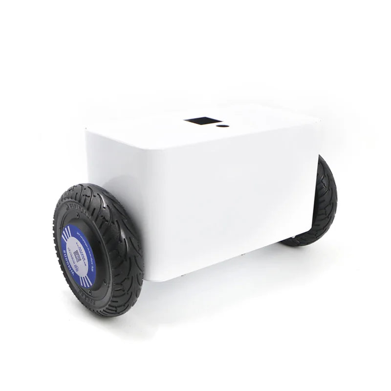 Custom PCBA The top version of the two-wheel balancing robot two-wheel self-balancing vehicle with a brushless hub motor Manufacturer