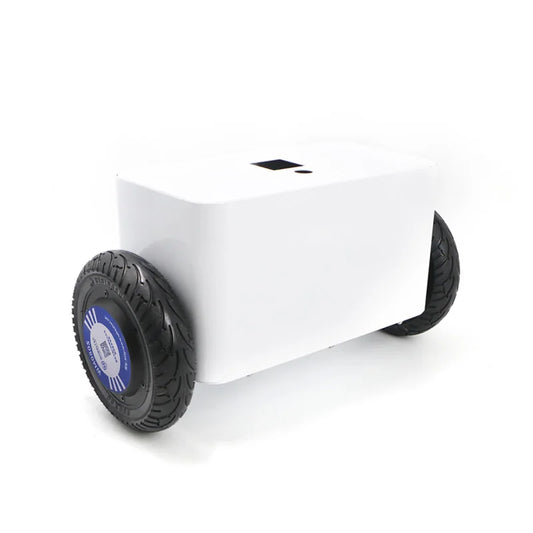 Custom PCBA The top version of the two-wheel balancing robot two-wheel self-balancing vehicle with a brushless hub motor Manufacturer
