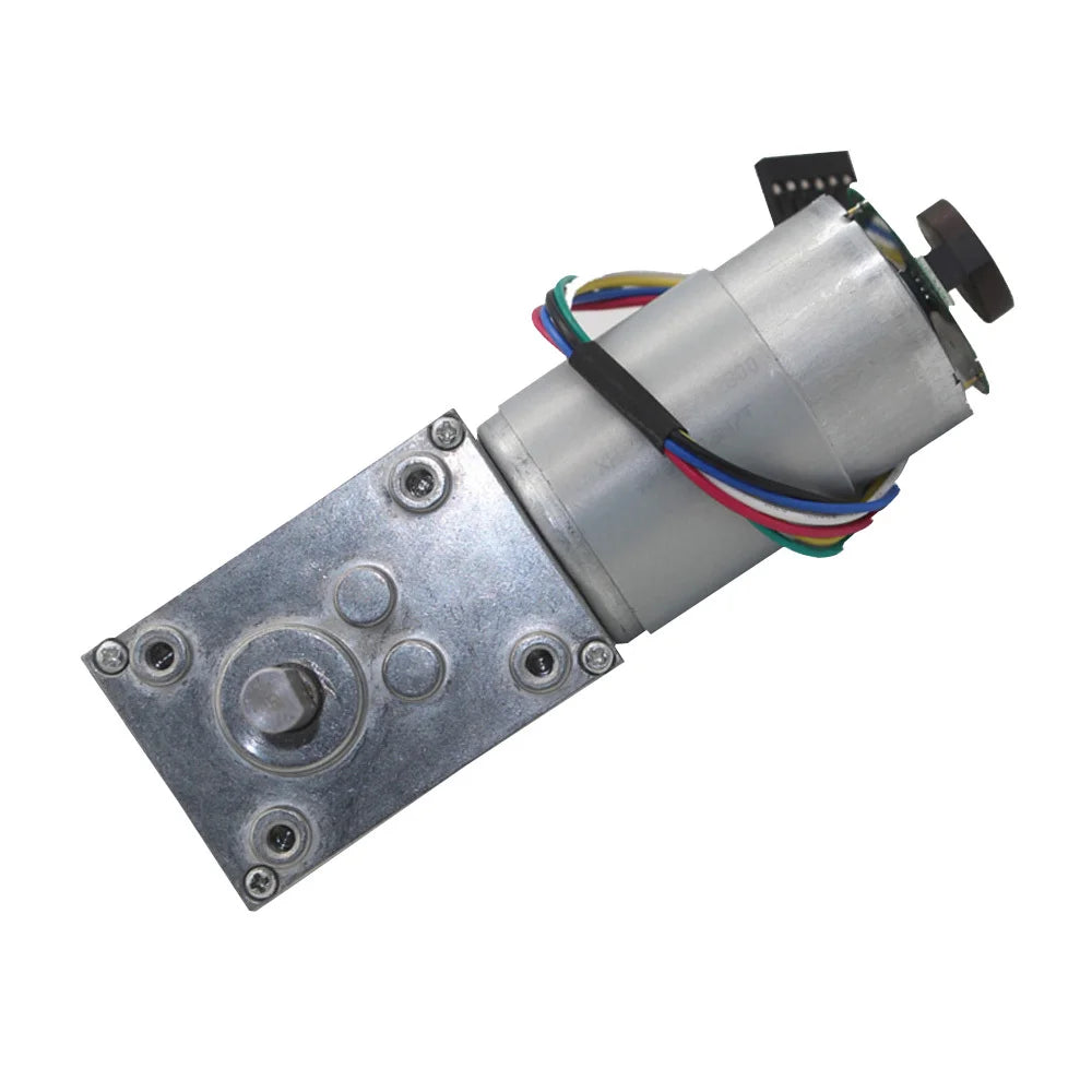 Custom 5840-555B Worm Gear Motor DC Motor Encoder 12V-24V High Torque 2.5-60KG Self-Lock Reversible For Automation Project Manufacturer