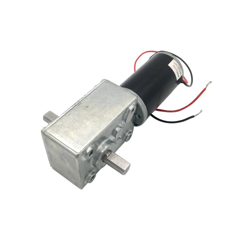 Custom 5840-31ZYS DC Small Motor 12V Slef Locking Gearbox Reductor 24V Large Torque Double Shaft Motor For Fan Reducer Manufacturer