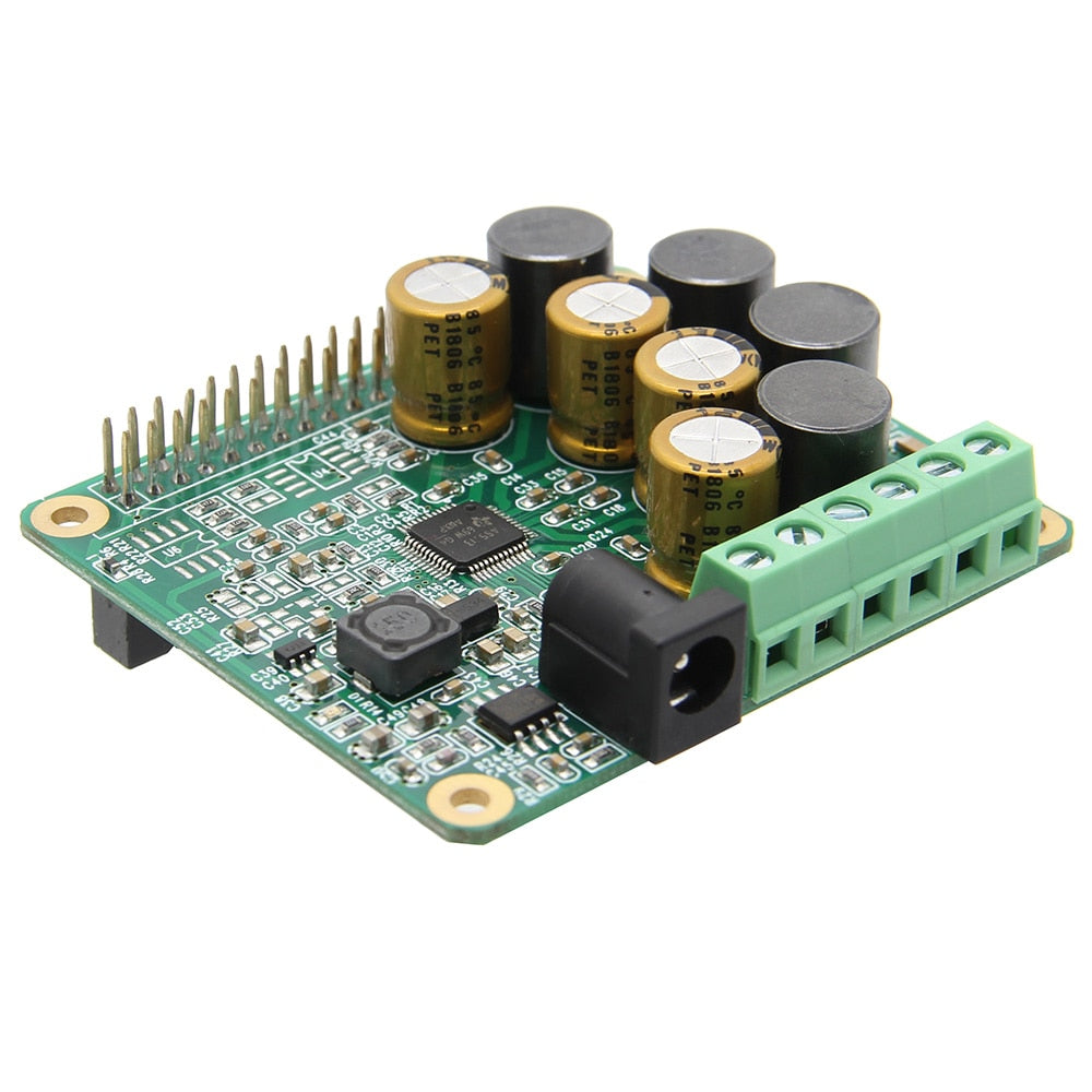 Raspberry Pi HIFI AMP Amplifier Expansion Board Audio Module for Raspberry Pi 4 Model B / Pi 3B / 2B / 2B+ customize